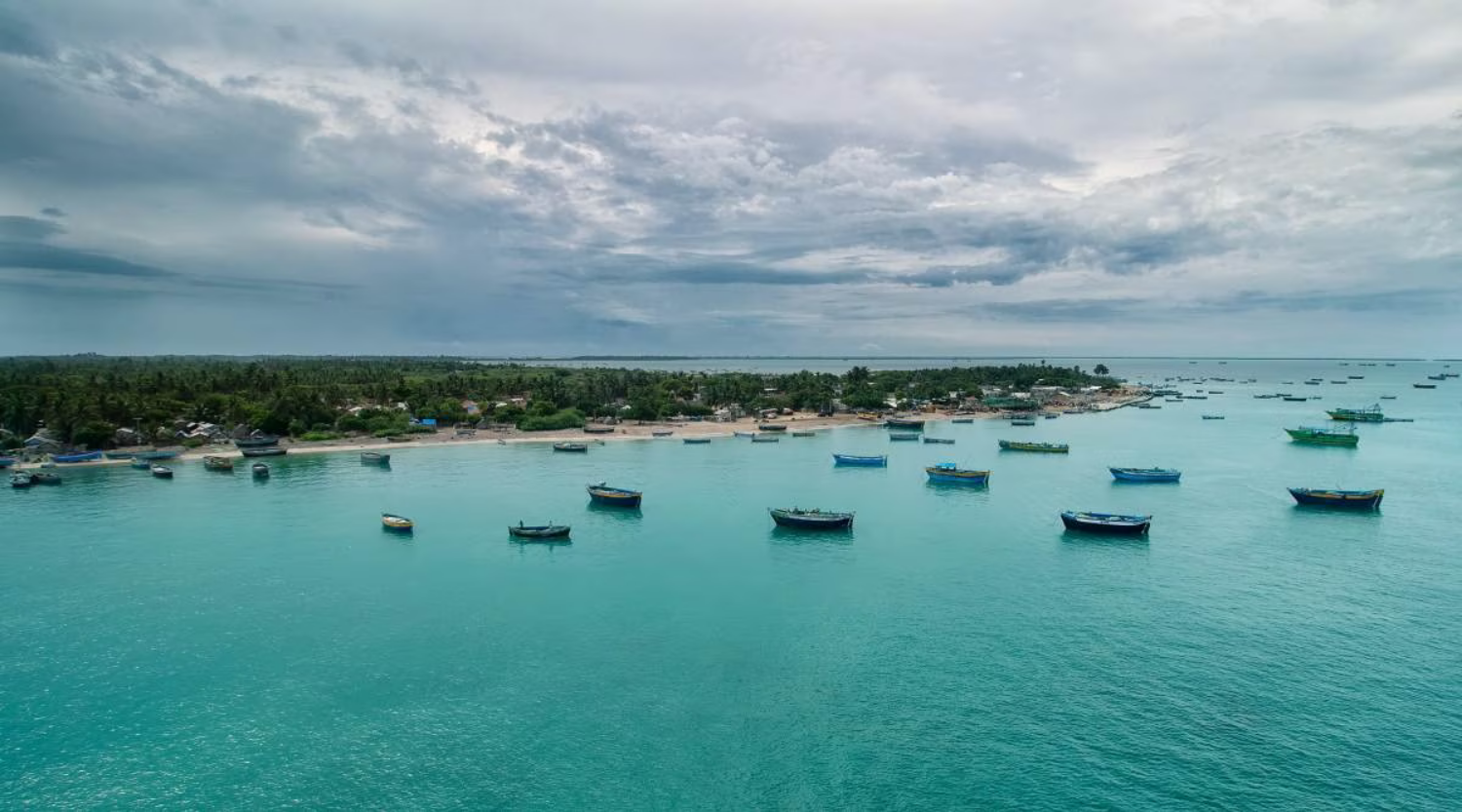 Lankan man jumps into sea, swims to Indi...
